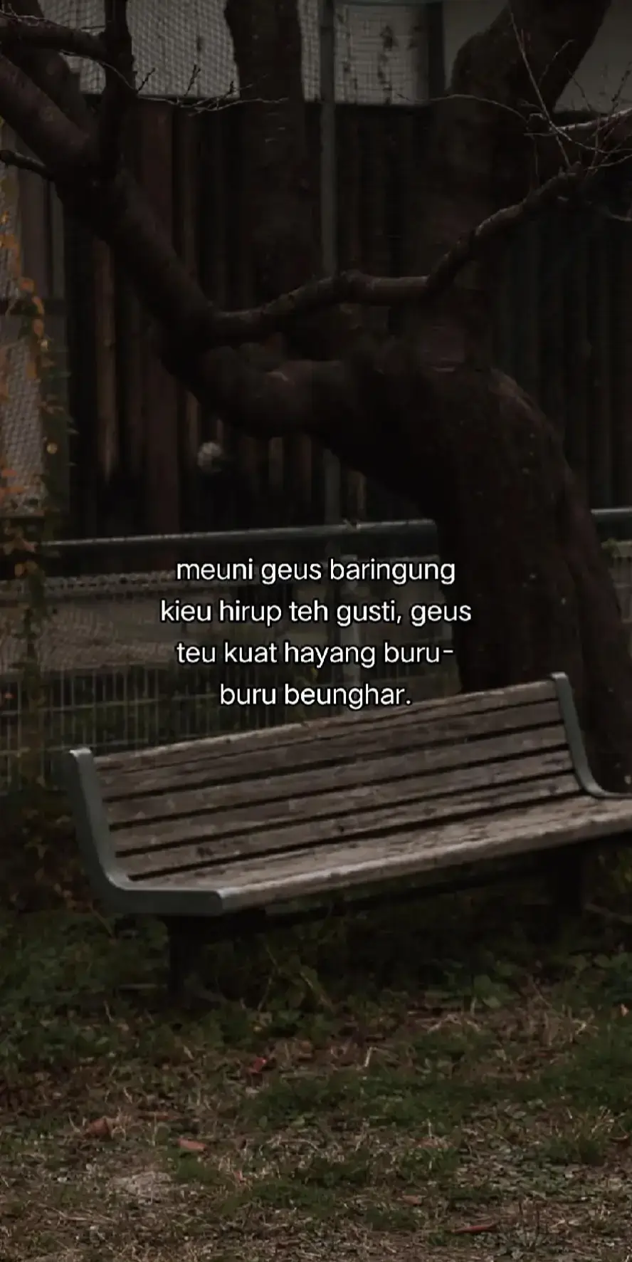 #storysunda🍁 #katakatasunda #4u #fypシ゚viral 