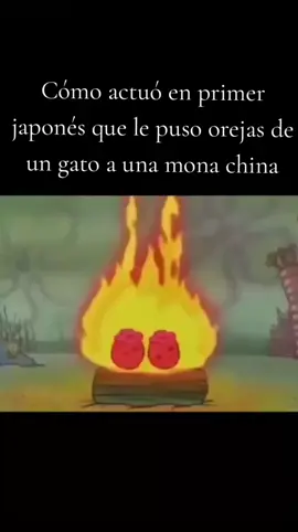 muy mal por parte de la humanidad #nipex #30tucanes