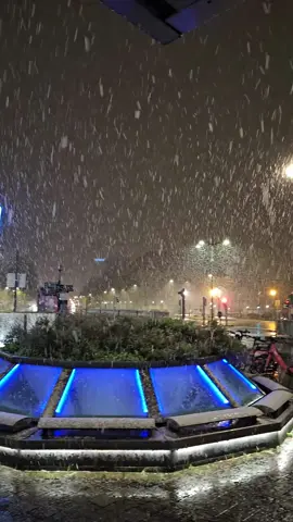 Première neige sur Bruxelles   #bruxelles  #neige  #snow #foruyou  #fyp 