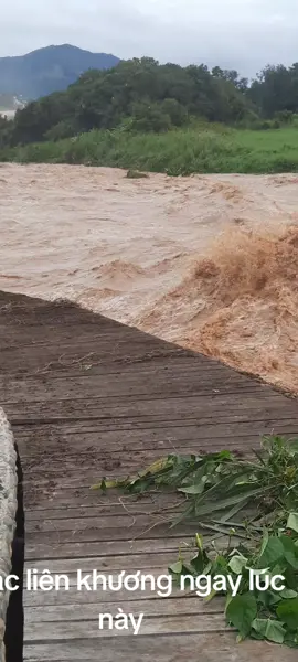 thác liên khương #xuhuongtiktok 