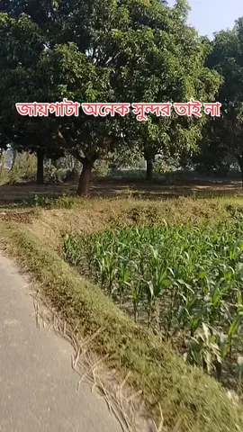 এই জায়গাটা অনেক সুন্দর তাই না বলেন তো এটা কোন জায়গা 