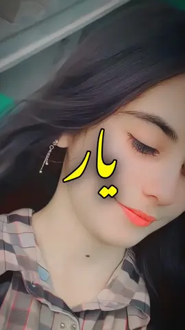 Banr k Yar Meda 🥺❤️‍🩹🙏  #saraiki #saraikisong #saraikistatus 