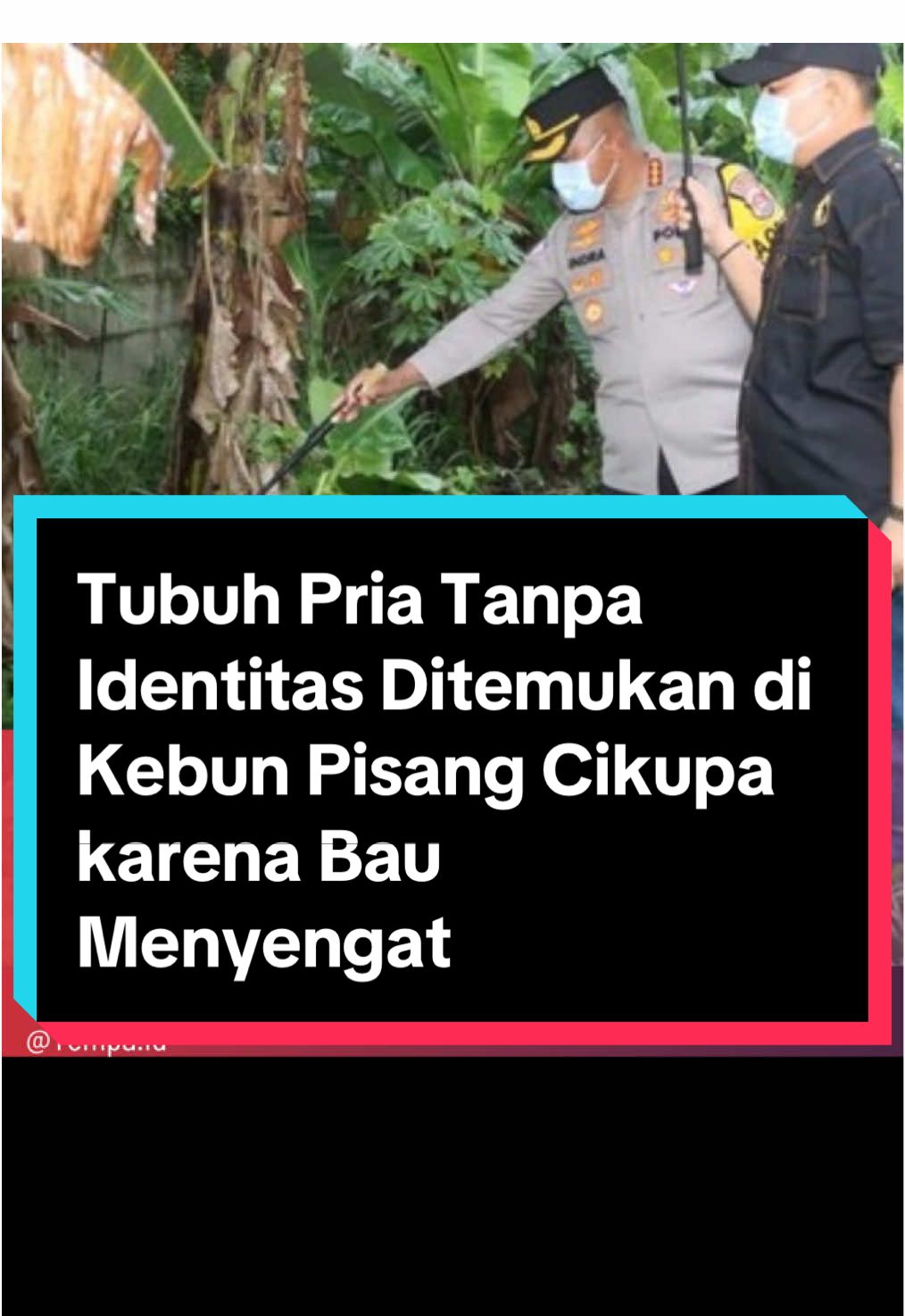 Warga Kampung Bunder, Cikupa, Kabupaten Tangerang, dikejutkan oleh penemuan tubuh seorang pria tanpa identitas di area semak-semak kebun pisang. Polisi menduga jasad tersebut merupakan korban pembunuhan. Kapolresta Tangerang, Kombes Andi Muhammad Indra Waspada Amirullah, menyatakan bahwa pihaknya masih menyelidiki dugaan tersebut dan memeriksa laporan orang hilang untuk mengungkap identitas korban. Tubuh ditemukan pada Selasa (18/11) dalam kondisi membusuk. Penemuan ini berawal dari laporan warga yang mencium bau busuk kuat sejak sehari sebelumnya. Polisi telah melakukan olah tempat kejadian perkara dan mengumpulkan keterangan saksi untuk mempercepat proses penyidikan. #Cikupa 