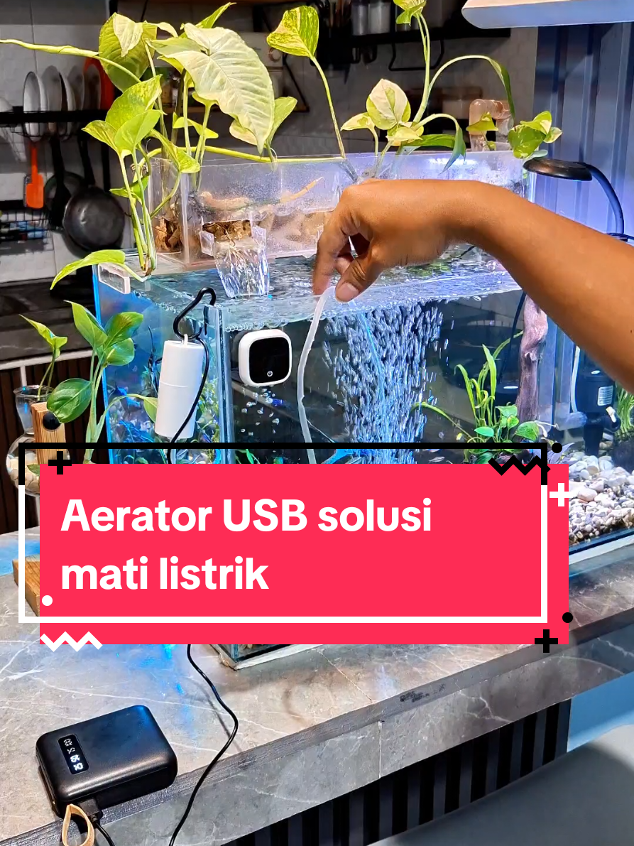Udah mulai musim ujan sering mati listrik, pake aerator USB bisa colok ke powerbank biar ikan ga stres 👌 #aerator #aeratoraquarium #oksigen #aquarium #aquascape 