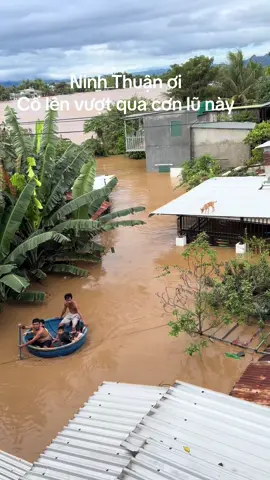 Ninh Thuận ơi cố lên nhé! #lulutninhthuan  #phanrang #caudaolong1 