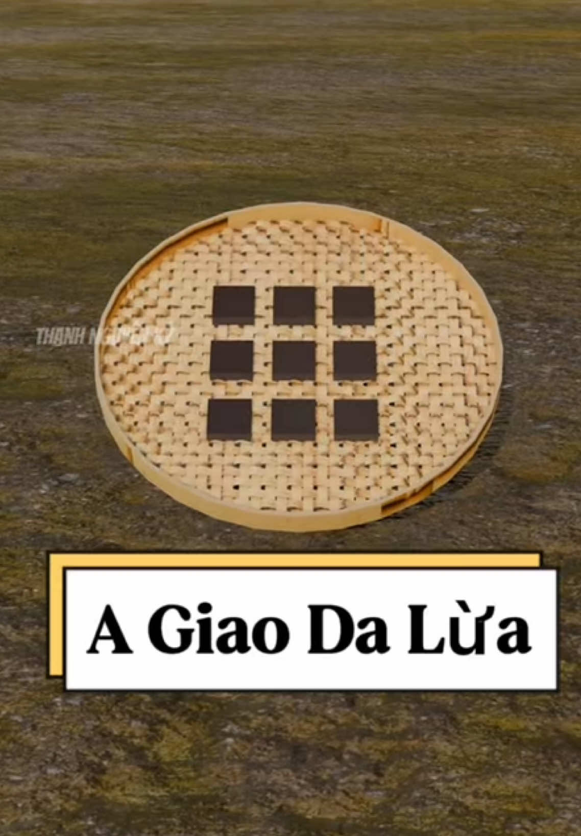 Chúc mừng bạn đã phát minh ra a giao da lừa. #kienthucthuvi #khamphathegioi #viral #fyp 