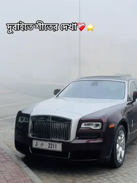 শীতের সকাল🤲❤️#foryou #dubai🇦🇪 #foryoupage #ppppppppppppppppppppppp #bangladesh🇧🇩 