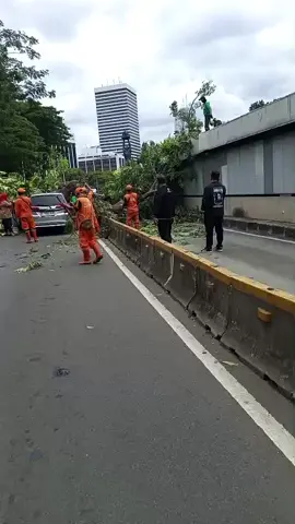 Situasi terkini depan kantor Deplu Senayan Patung Pemuda, Jakarta ada pohon tumbang ya gaess.. Pohon aja di musim yang gini bisa tumbang, gimana badan. Sehat-sehat dan hati-hati semuanya!🥰