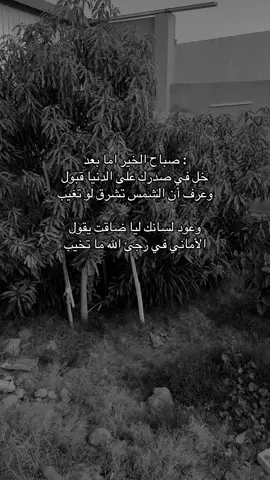 #اكسبلور #شعر #قصيد #حكم #صباح 