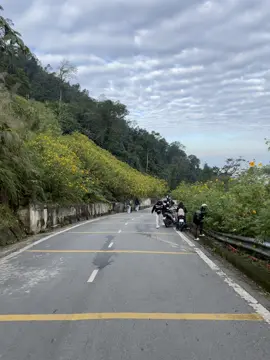 Ba vì 20/11 không mưa cũng không mây#bavi #vuonquocgiabavi #hoadaquy #xuhuong 