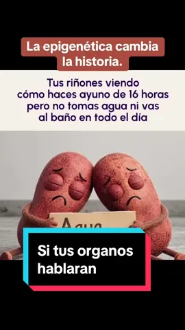 🤭 Tu cuerpo habla… pero a veces no lo escuchamos. Entre GLP-1 sin detox, omeprazol diario y ayunos sin agua… nuestros órganos están pidiéndonos ayuda a gritos. La buena noticia: tu biología puede cambiar. La epigenética nos recuerda que pequeños hábitos + nutrientes correctos = grandes cambios en cómo tus células funcionan. Si quieres aprender cómo apoyar tu hígado, microbiota y riñones de manera natural, manda “INFO” y te explico cómo empezar. ✨ #Epigenética #saludmetabólica #Microbiota #DetoxNatural #BienestarIntegral    