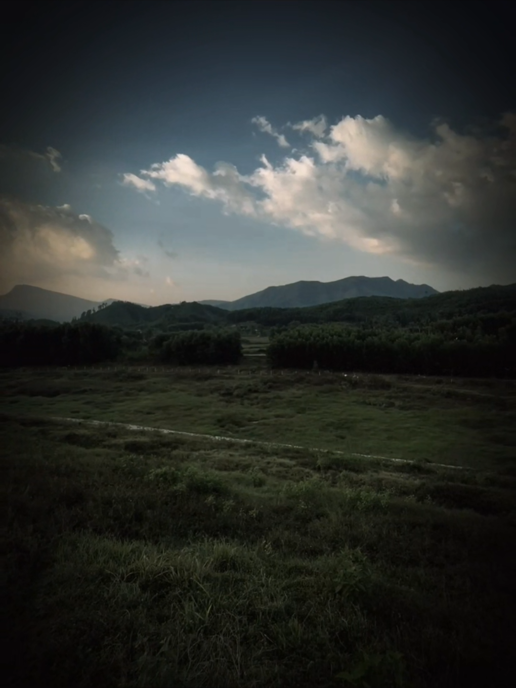 “我们成了陌生人两个陌生人,彼此了解一切...