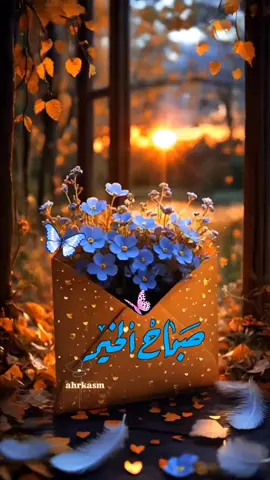 أدام الله السكينة في قلوبكم والسعادة في بيوتكم والصحة في أبدانكم والتوفيق في حياتكم  والأمن في دروبكم والبركة في أرزاقكم🌹🌿#صباحكم_سعاده #اللهم_بك_اصبحنا #اصباحنا_و_اصبح_الملك_لله #صباح_الخير #صباح_الورد 