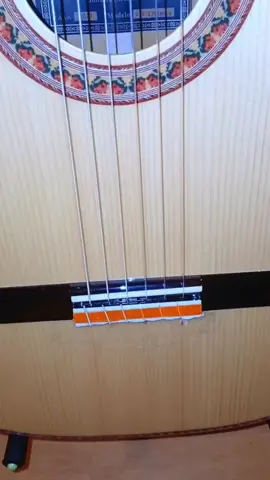 #VidaSilvestreEnTikTok #guitarraflamenca #camarondelaisla♥️☪️ #paratiiiiiiiiiiiiiiiiiiiiiiiiiiiiiii #buleriasgitanas 