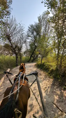 #foryou #foryoupage #dontunderreviewmyvideo #fyp #explore 