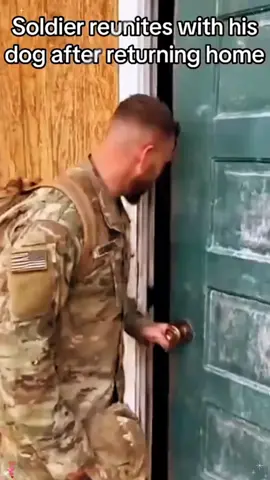 Dog welcomes soldier back..😘❤️#pet #cat #dog #cute #animals #foryou #typ 