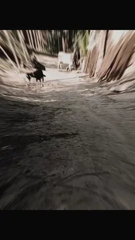 #ঝিনাইদহর_পোলা_মানেই_আগুন🔥🔥🔥🔥 #শৌলকুপার।ছেলে #foryoupage 