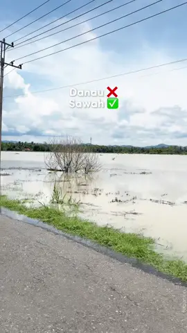 Kondisi terkini persawah di Timur Jembatan Sembir, Kec. Adimulyo, terendam air cukup tinggi akibat hujan semalam.  Tanaman padi yang baru ditanam beberapa hari terancam mati/rusak, jika tidak kunjung surut. #kebumen