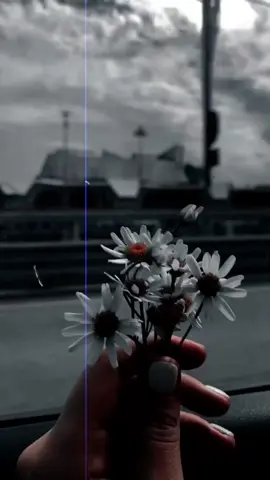 𝙎𝙪𝙗 𝙠𝙪𝙘𝙝 𝙩𝙪 𝙝𝙖 😘😘 . . #saraikisong  #lovesongs  #ismaileditz  #100kviews  #aesthetic 