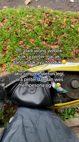 weton legi tangi turu gur modal raup tok panggah wani metu😭 #wetonjawa #wetonlegi #foryoupage #xybca #fyp 