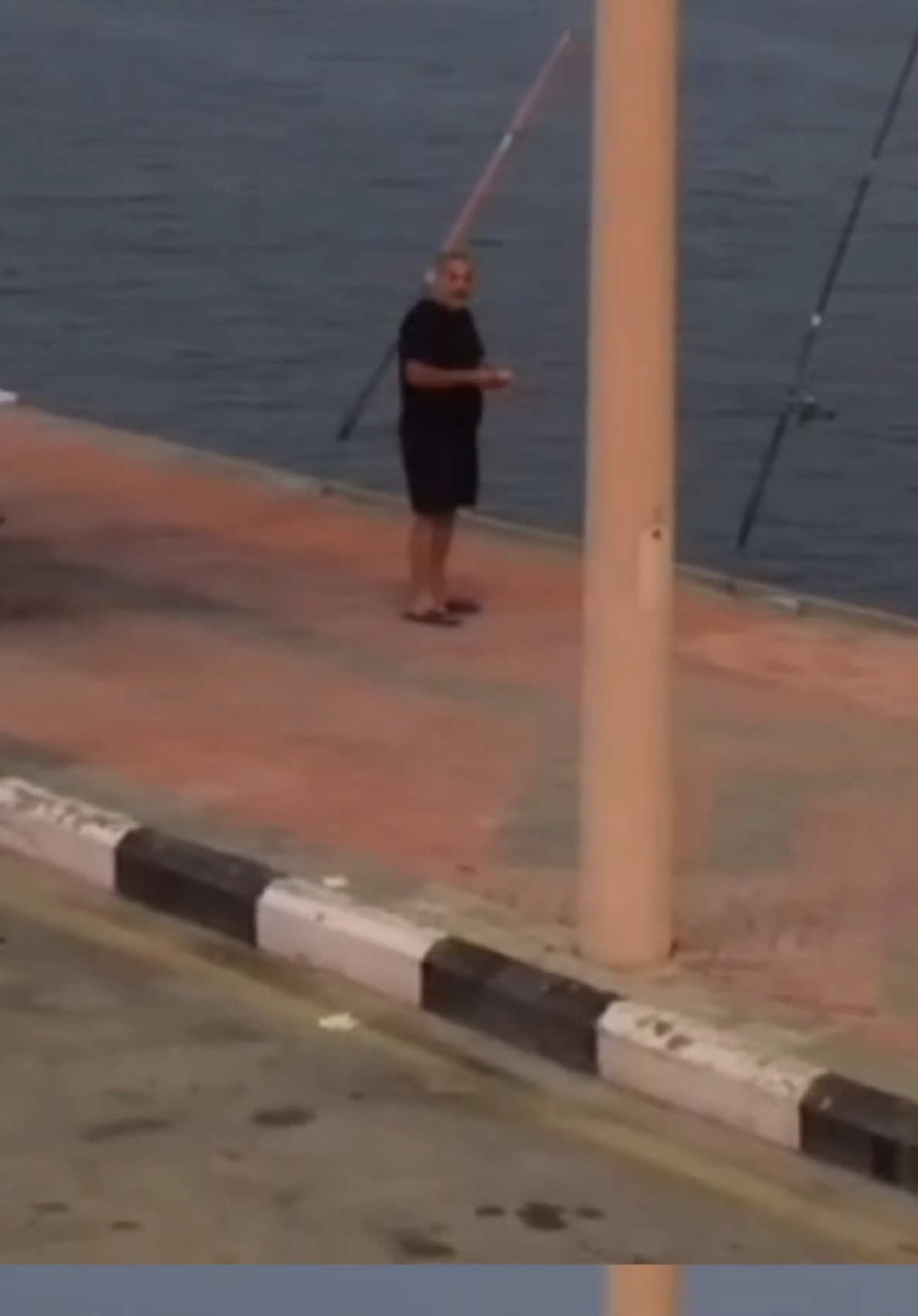 #قطر #الشعب_الصيني_ماله_حل😂😂 #قطط_لطيفة #حبيبي❤️ #سوريا🇸🇾 