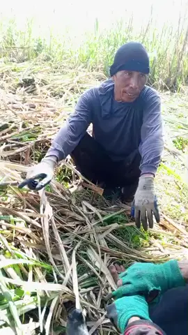 keding agi encak en pak lek riah