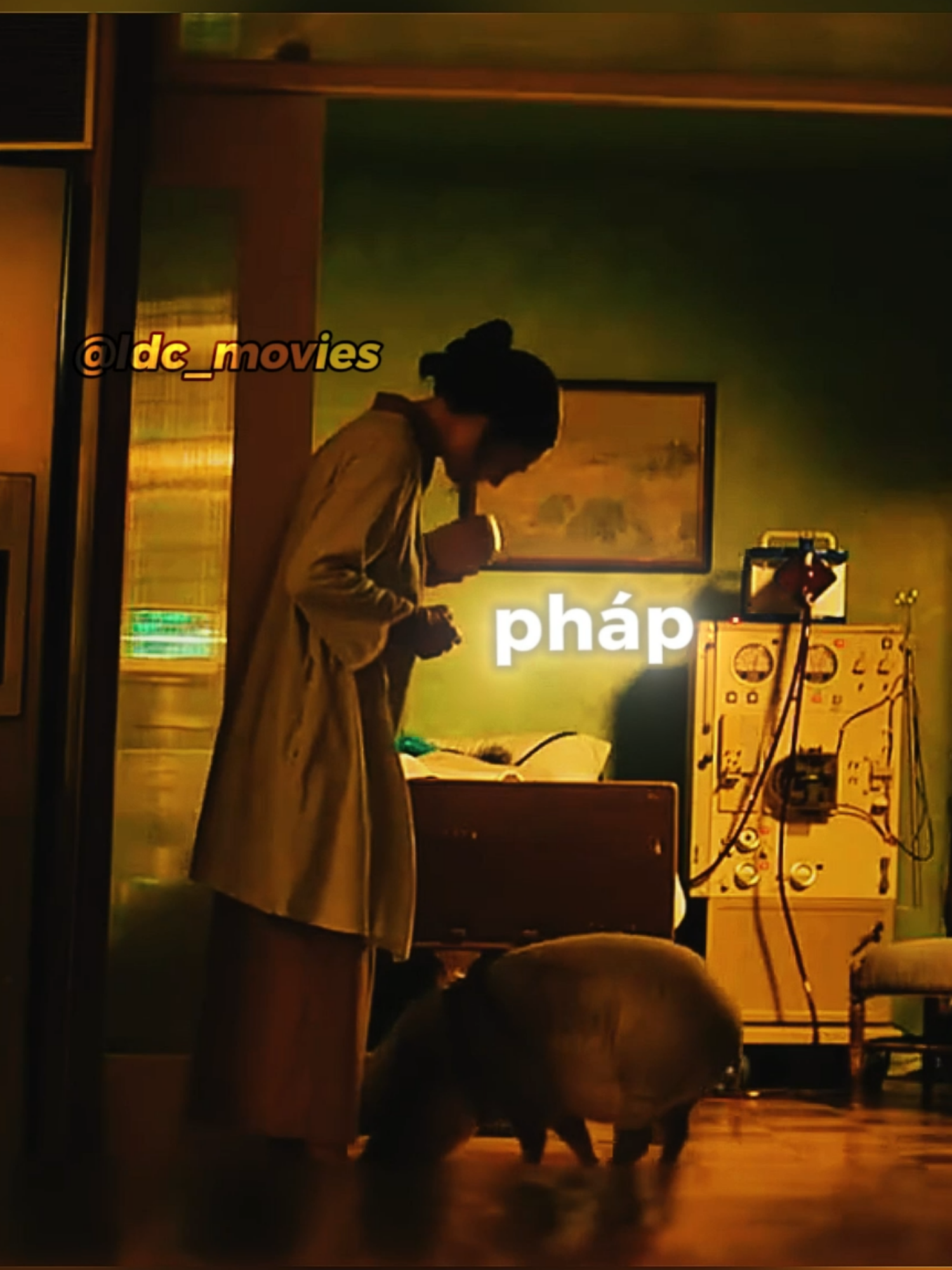 Cô Gái Dùng Sữa Đậu Lành Của Người Khác Để Mang Thai 1/3 #reviewphim #phimhay #phimmoi #movies #moviescene #ldc_movies #film