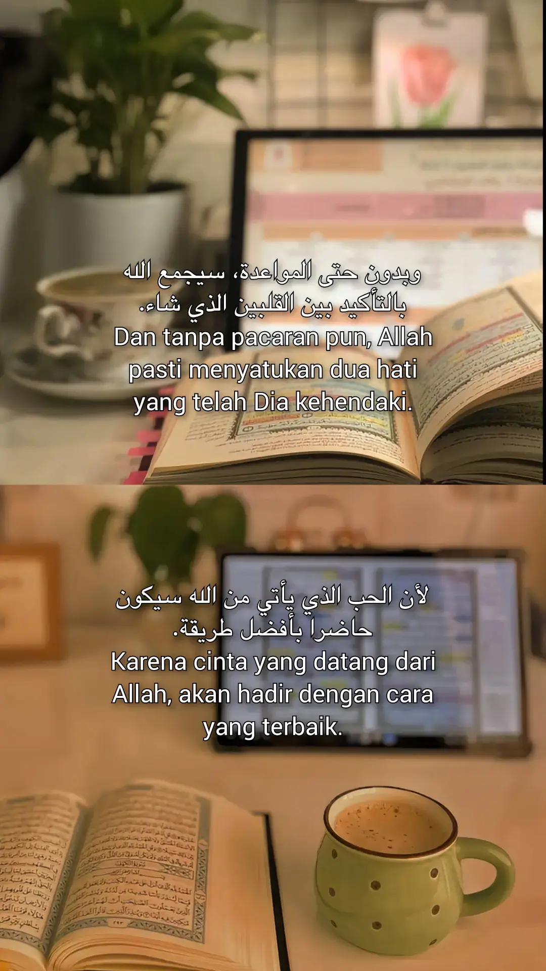 #selfreminder #quotes #foryou #foryoupage 