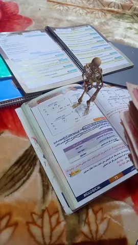 عندما تشعر بالملل 😂🤍