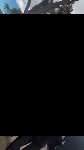 motion 😎 #fyp #dance #goviral #melb #tarneitbandits 