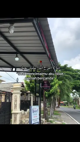 #syaircinta #katakataarabic #syairarabic #qoutesarabic 