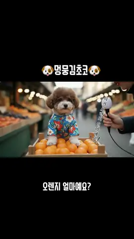 이거 오렌지 얼마예요? #귀여운강아지 #강아지영상 #aivideo #cutedog #funny 