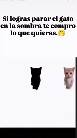 te compro lo que quieras,#paratiiiiii#viral#🤭🤭 