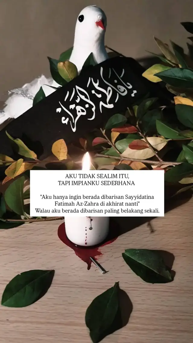 #quotes  #motivasi  #reminder #impianku  #Sayyidatinafatimahazzahra💚