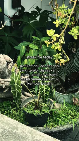 #quotes #motivation #streak🔥 #fyp #foryou #foryoupage 