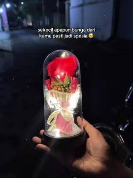 wanita mana si yang ga suka tiba tiba di beri bunga🥹🫶#kadovalentine #kadocewek #idekadocewek #giftideas #kadobunga 