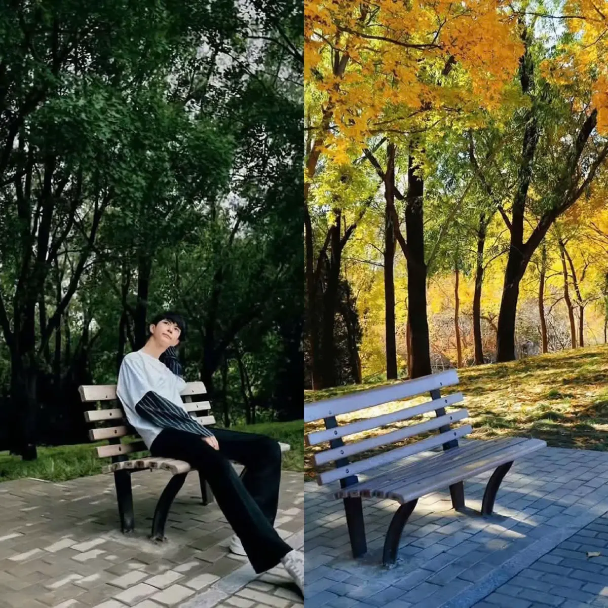 Giá như ngày ấy anh không đi thi trương trình ấy  Giá như… Giá như ..nhưng làm gì có giá như Mỗi bước chân em bước đều nặng nề, như thể thế giới đang khóc. Nỗi buồn im lặng, nhưng giọng nói của anh cứ vang vọng sâu thẳm trong trái tim. Hãy để em gọi nó là 