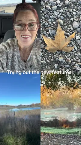 #growth #engagement #SmallBusiness #offgridliving #newfeature 