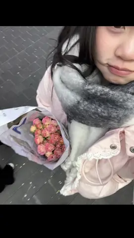 오랫동안 기다렸는데。。。