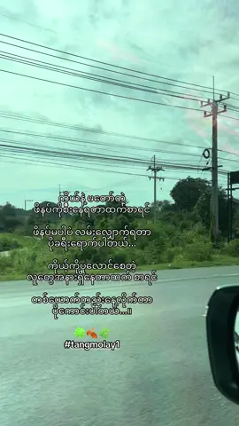 တယောက်တည်းနေလိုက်တာ ပိုကောင်းပါတယ်…… #fyp #tangmolay1 #မြင်ပါများပီးချစ်ကျွမ်းဝင်အောင်လို့🤒🖤 #foryou #viral 