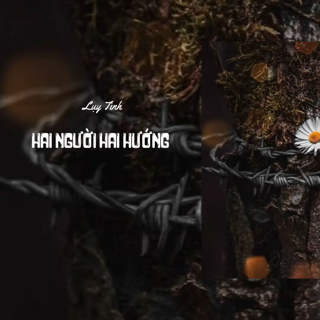 Mấy năm trời yêu thương  nay nhìn lại thất anh phi thường #luytinh003 #xh #thattinh #xuanmanh03 #hainguoihaihuong 