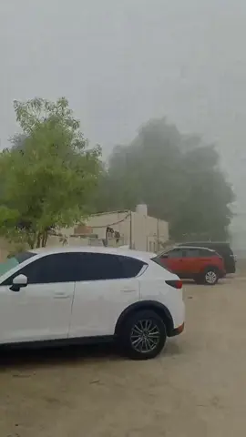 Morning view🇦🇪@Ali haider🇵🇰73🇦🇪 @sahb g 