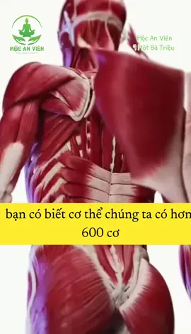 BẠN ĐÃ BIẾT  ĐIỀU NÀY CHƯA??? #GộiĐầuDưỡngSinhHaibàTrưng #Gộiđầudưỡngsinh_91bàtriệu #mộcanvieen91Bàtriệu #MỘCANVIÊN #viralvideo 