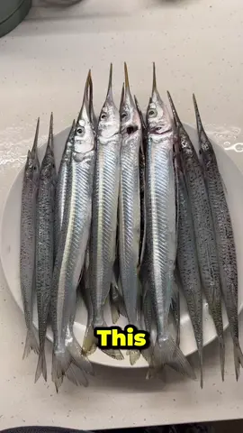 This is a step-by-step how to get piper, using Hayabusa sabiki size 8, and Fisherman supply burley. First, put a piece of shrimp in the hook to give more scent. Second, drop down the Sabiki but not to the bottom. Third, deploy some burley down to bring the fish closer to us. Fourth, strike when you feel the slightest bite or see the piper hanging closer to the Sabiki. Let me know in the comment if you have another tip, please. Reel: Shimano Vanford C3000HG @Shimano Fishing New Zealand  Sabiki: Hayabusa EX125 Size 8 Real Minnow @Monster Distribution @Big Bev  Burley: @Fisherman Supply Co.  You can get the Sabiki for 8 dollars at @monsterfishing as it is currently on discount for Black Friday #fishtok #fishingtips #howto #viral #fyp 