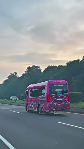 🤲🤲#yxzbca#fyppppppppppppppppppppppp#ANF#elfmbois#sewaelf21seat 