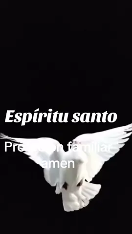 #tiktokencyclopediacontest 