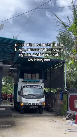 pancen yo cweleng#storytruk #fyp #drivermuda 