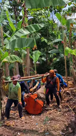 kelas berat boskuhh🤑🤑 monggo yg mau kayu maoni panjang 4,5 m ada 7 batang #CapCut#kayusuper #mahoni #fypage #fyp 