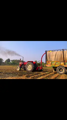 #viral_video #foru #unfreezemyaccount 