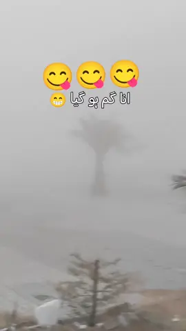 #fypシ゚viral #tiktokviral #uae🇦🇪 #WheneverWherever #foryoupage 